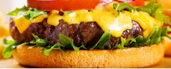 Cost of lab-grown burger patty drops from $325,000 to $11.36