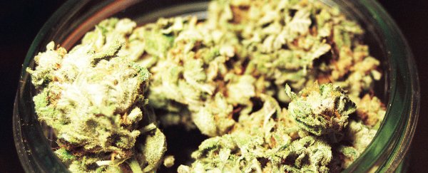 Cosmic radiation could dash your plans to get high in space