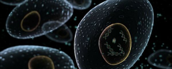 We may have found the 'Achilles heel' of cancer