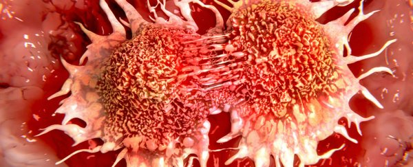 We now have the most precise timeline ever of a cancer spreading in a patient's body