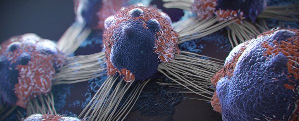 Early Clinical Trial Shows 'Cancer Vaccines' Can Protect Humans From Tumours