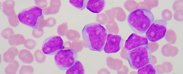 Fasting could slow the development of a common type of childhood leukaemia