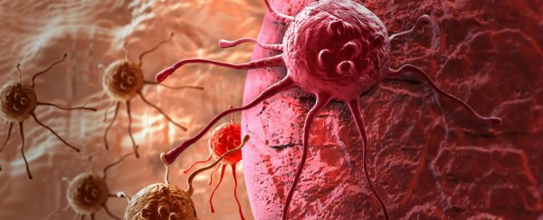New cancer treatment halts the growth of aggressive melanoma in mice