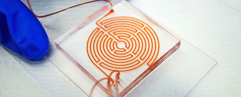 cancer cell, This Awesome Blood Labyrinth Is The Newest Method For Catching Cancer Cells