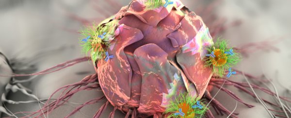 This new gel patch unleashes a 'triple attack' on tumours