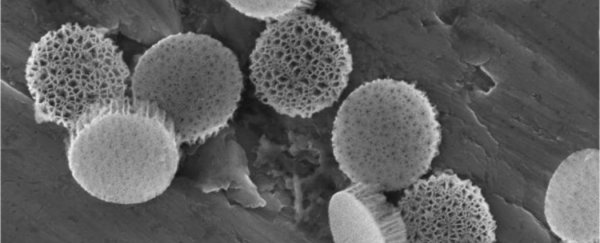 Silicon microparticles could deliver a new breast cancer vaccine
