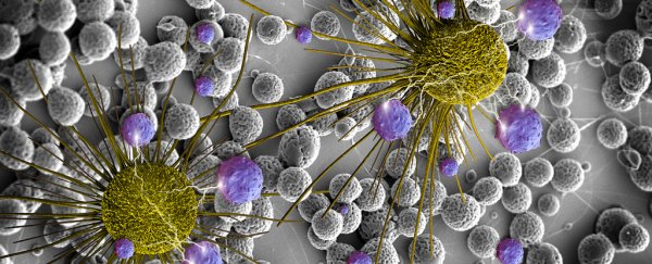 This is big - early evidence shows common antibiotics also kill cancer cells
