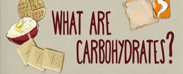 WATCH: What are carbohydrates doing to your body?