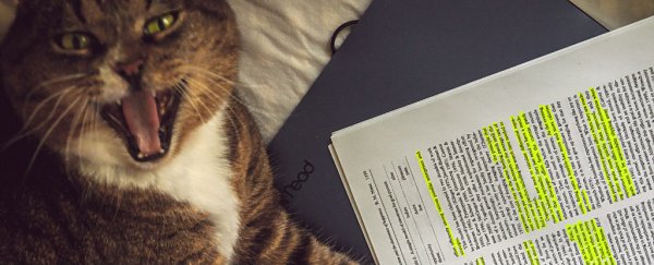 In 1975, a cat co-authored a peer-reviewed physics paper