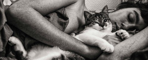 When's the best time to go to bed, according to science?