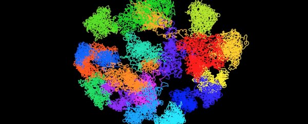 These 3D images are our first ever look at how DNA shapes itself inside cells