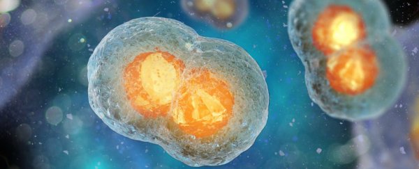 We can finally read the 'clock' that tells how long human cells have left to live