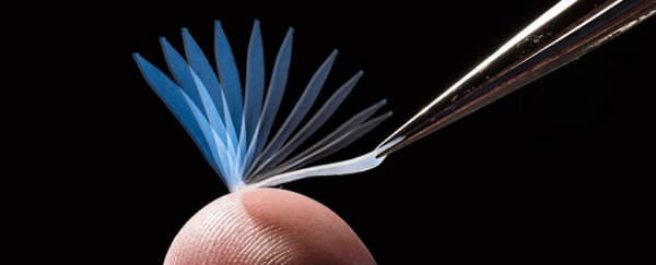 This new shape-shifting polymer can lift 1,000 times its own weight