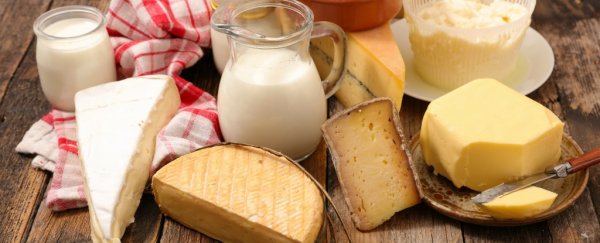 Do humans actually need milk and dairy products in adulthood?