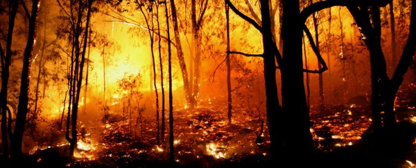 Wildfires near Chernobyl could spread radiation through Europe
