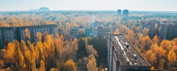 New analysis says we were wrong about what caused the Chernobyl disaster
