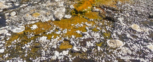 A decommissioned NASA rover might have found evidence of past life on Mars
