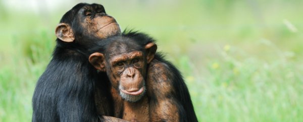 8 facts that will make you realise how strange animal sex really is