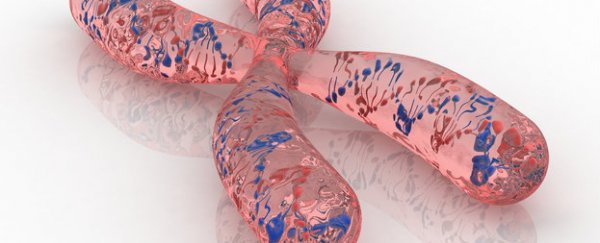 For the first time, scientists have completely sequenced a human chromosome