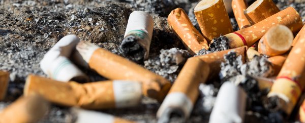 Asphalt made from cigarette butts can help us clean all that awful litter