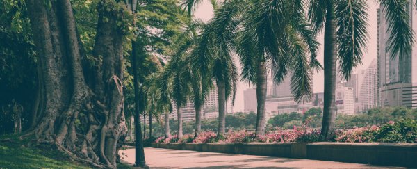 Here's why trees should be an essential part of urban living, according to NASA
