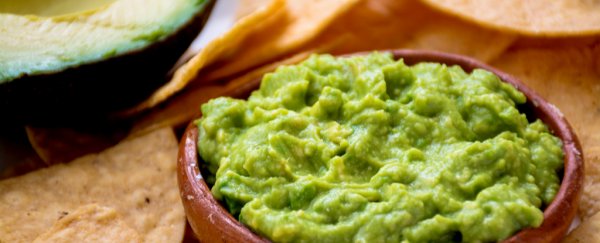 Here's the science on why eating fat won't make you fat