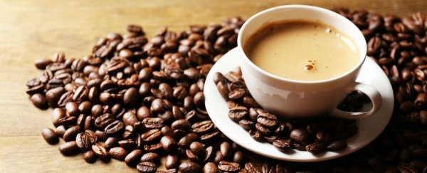 Coffee consumption linked to a decrease in DNA breakage