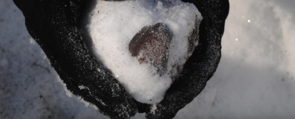 Scientists are discovering frozen meteorites in the Antarctic