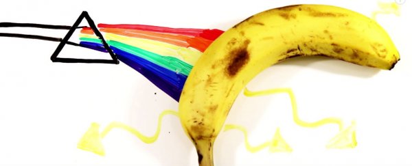 WATCH: Will this colour test trick your brain?
