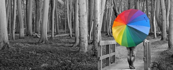 Researchers solve the mystery of how humans evolved colour vision