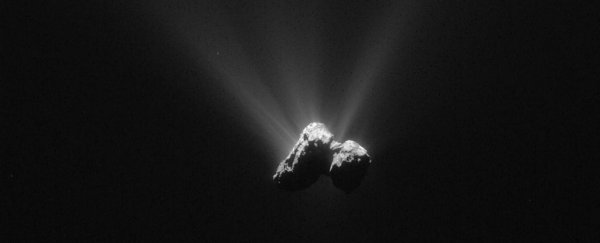 Key ingredients of life have been detected in Comet 67P's atmosphere