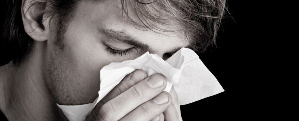 Scientists have figured out how to stop the common cold in its tracks