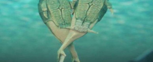 Ancient fish were the first animals ever to have sex