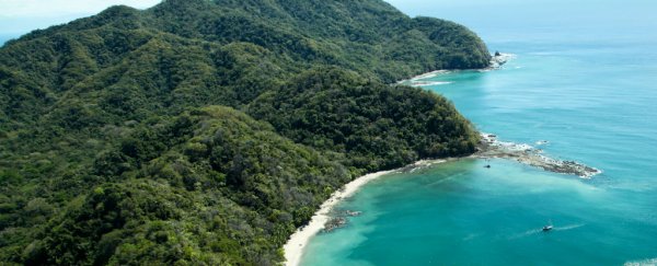 Costa Rica has been running on 100% renewable energy for 2 months straight