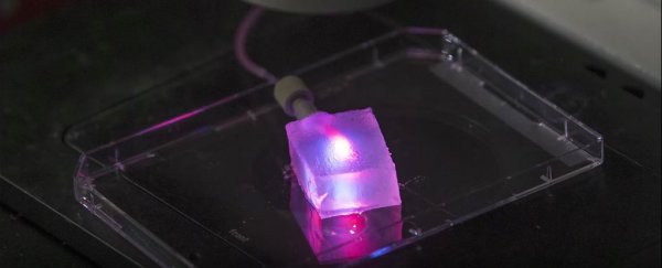 Cotton candy machines could help us make life-sized artificial organs