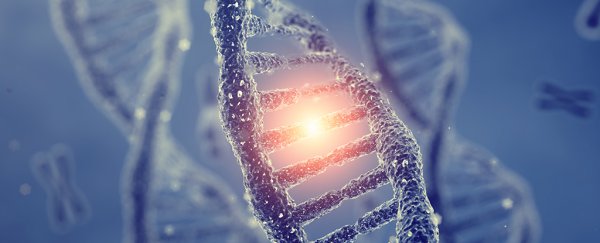 CRISPR could point to a cure for Huntington's disease, suggests new study