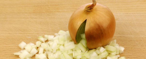 Good news! Japanese scientists have created a tearless onion