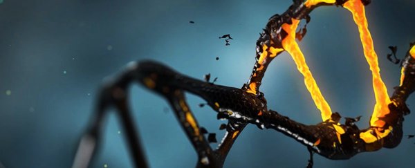 Meet 'dark DNA' - the hidden genes that may change how we think about evolution