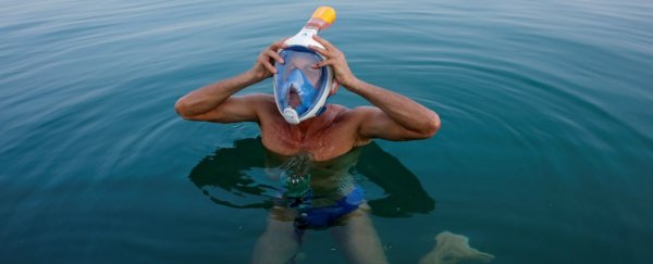28 people swam across the Dead Sea to prove a point about the environment