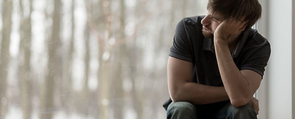 A major assumption about how the brain processes depression could be in question