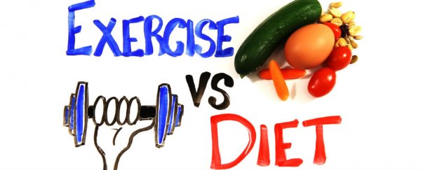 WATCH: Which is better for weight-loss - diet or exercise?