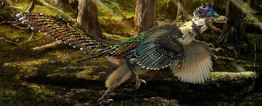 Six Amazing Dinosaur Discoveries That Changed The World : ScienceAlert