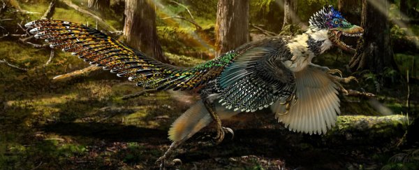 Six amazing dinosaur discoveries that changed the world