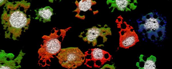 This crazy new virus just broke the rules of infection