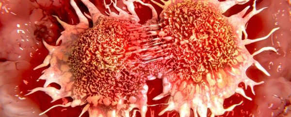 It can take just one mutation for some cells to turn cancerous, new study finds
