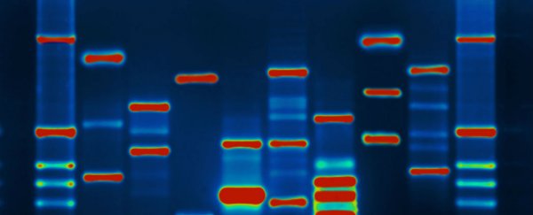 Here's why DNA could eventually replace hard drives
