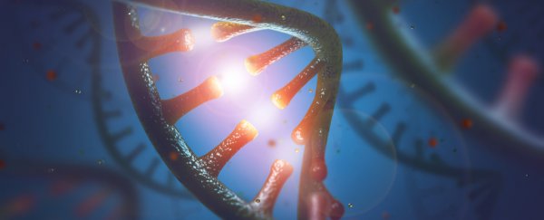 Study that claims CRISPR causes unwanted mutations is probably wrong