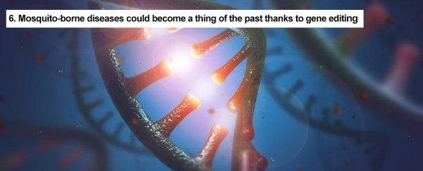 9 amazing things we've achieved in 2017 with help from CRISPR