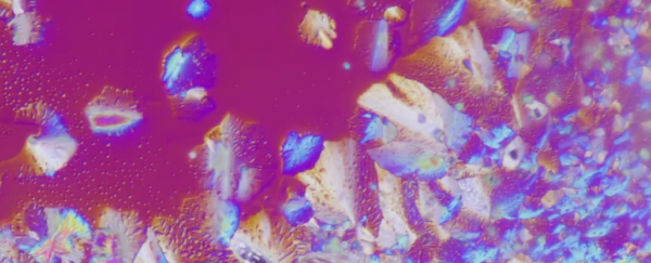 WATCH: This is what liquid crystal DNA looks like