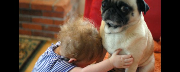 You need to stop hugging your dog, study finds